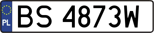 BS4873W