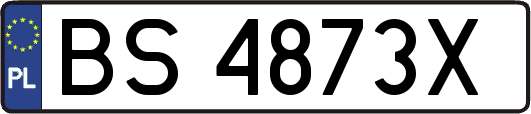 BS4873X