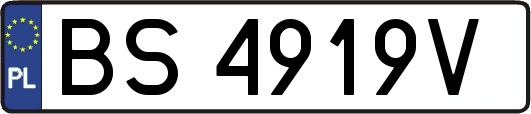 BS4919V