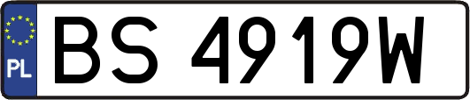BS4919W