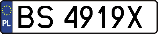 BS4919X