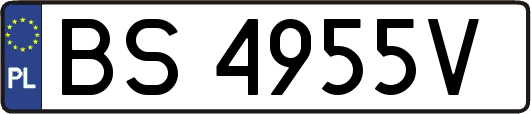 BS4955V
