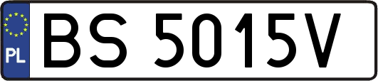 BS5015V