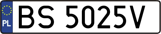 BS5025V