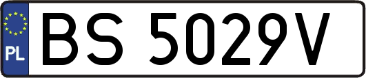 BS5029V