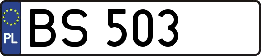 BS503