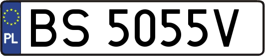 BS5055V