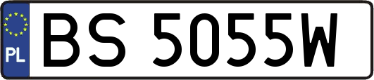 BS5055W