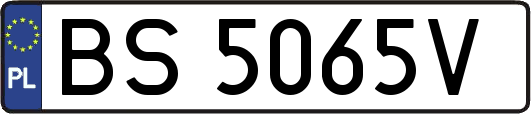 BS5065V