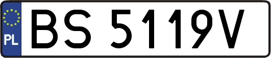 BS5119V