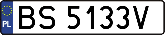 BS5133V