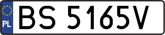 BS5165V