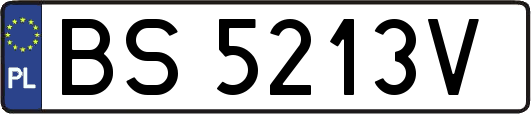 BS5213V