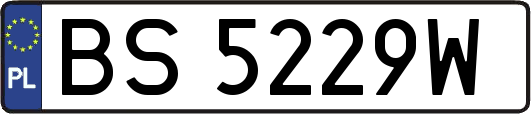 BS5229W