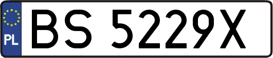 BS5229X