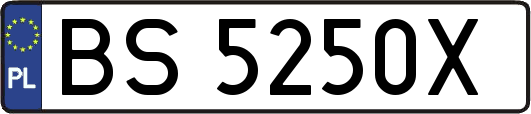 BS5250X