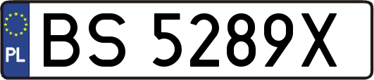 BS5289X