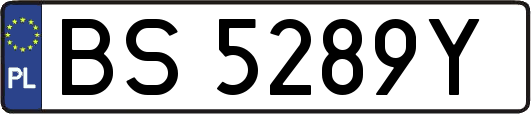 BS5289Y