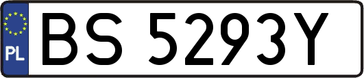BS5293Y
