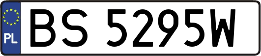 BS5295W