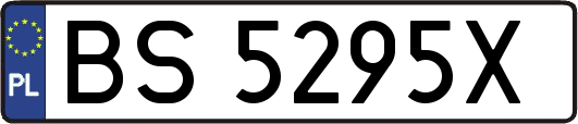BS5295X