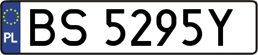 BS5295Y