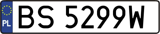 BS5299W