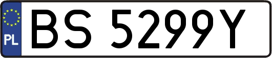 BS5299Y