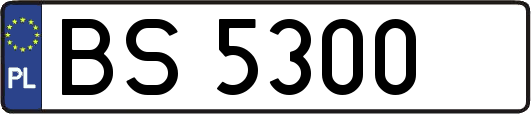 BS5300