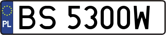 BS5300W