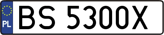 BS5300X