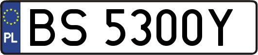 BS5300Y
