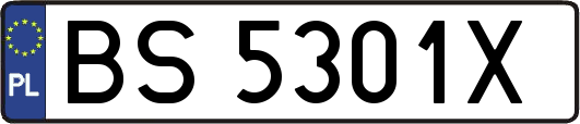 BS5301X