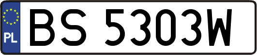 BS5303W