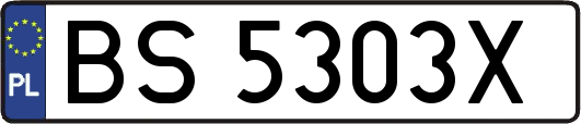 BS5303X