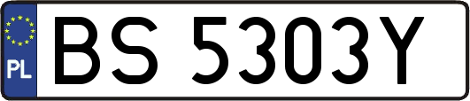 BS5303Y