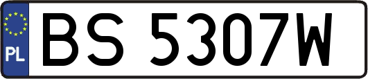 BS5307W