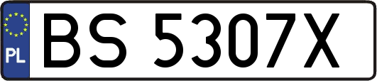 BS5307X