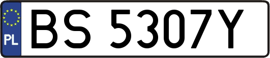 BS5307Y