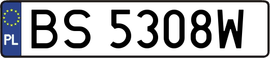 BS5308W
