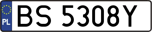BS5308Y