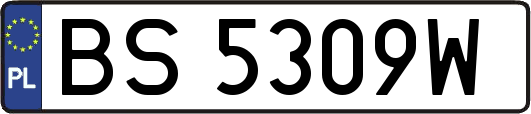BS5309W