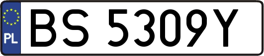 BS5309Y