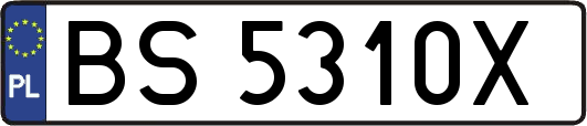 BS5310X