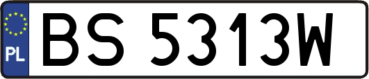 BS5313W