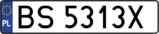 BS5313X