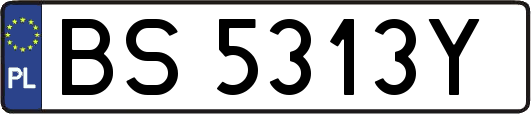 BS5313Y