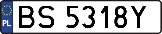 BS5318Y