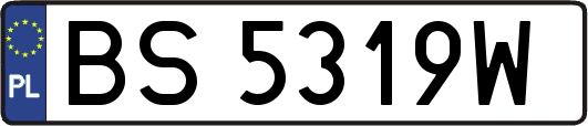 BS5319W