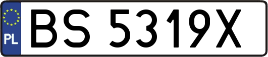 BS5319X